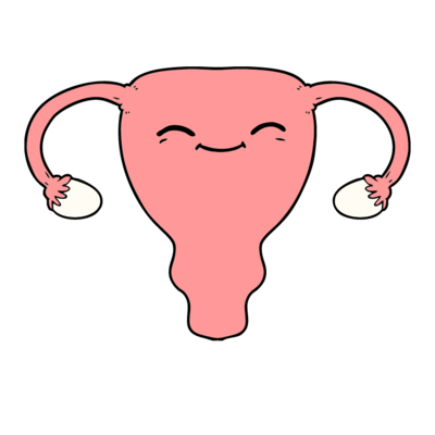 Uterine Function
