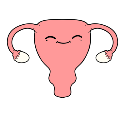 Uterine Function